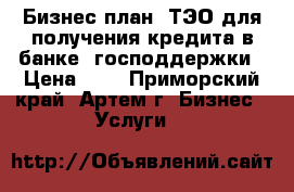 Бизнес-план, ТЭО для получения кредита в банке, господдержки › Цена ­ 1 - Приморский край, Артем г. Бизнес » Услуги   